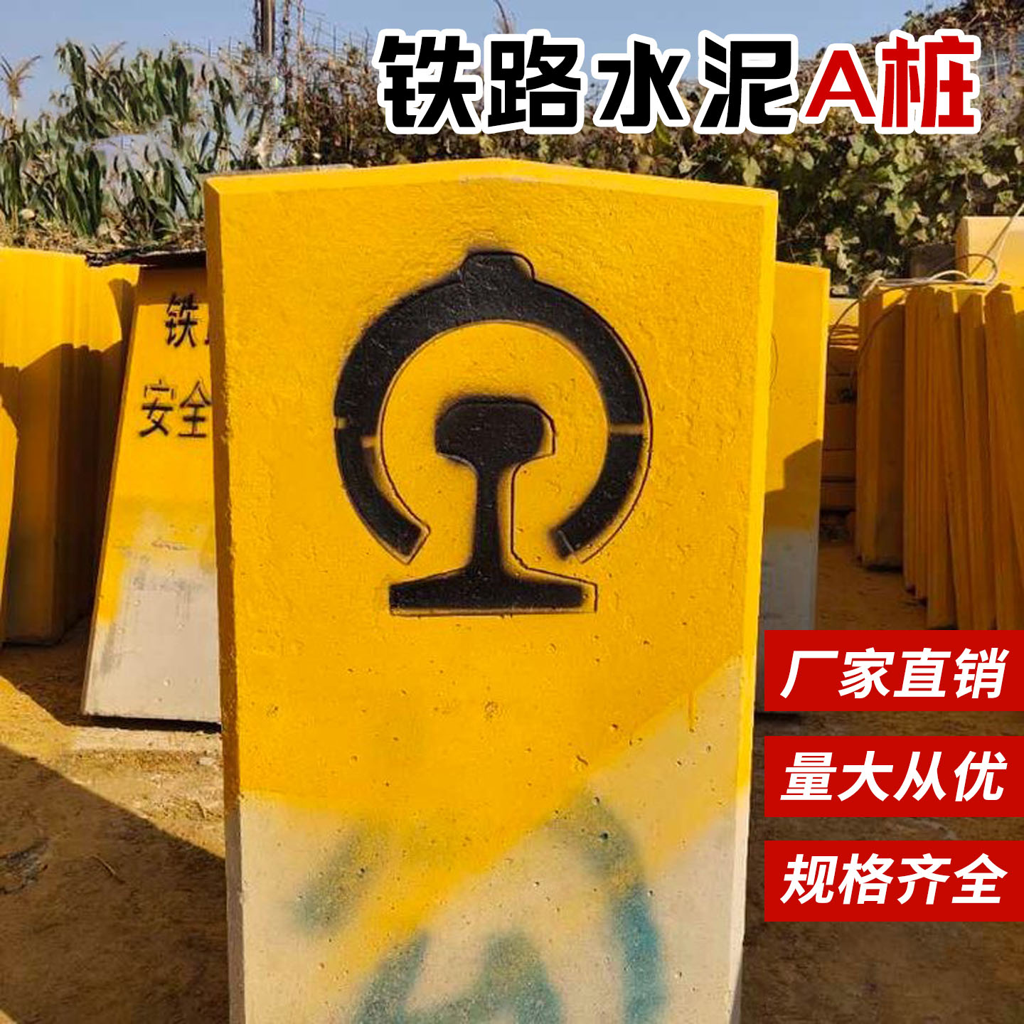 主图1.jpg