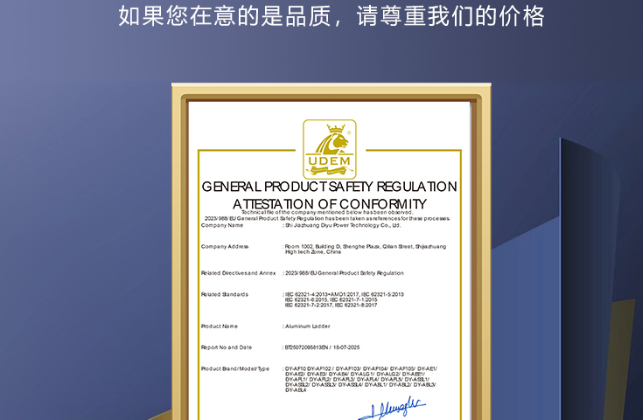 欧盟出口外贸认证——迪宇电力